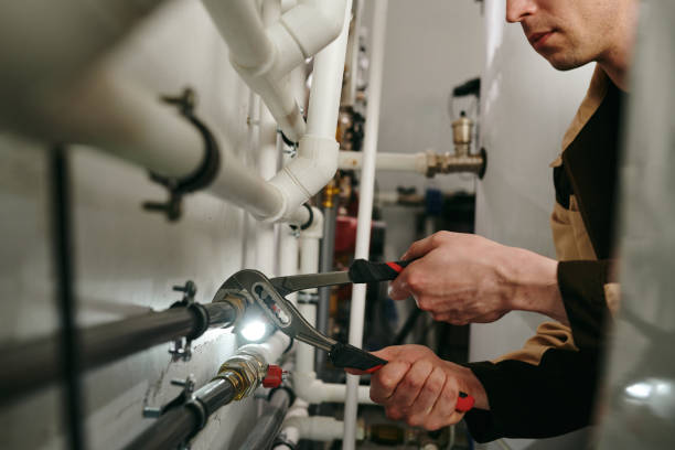 Best Plumbing Inspection Services  in Cass City, MI