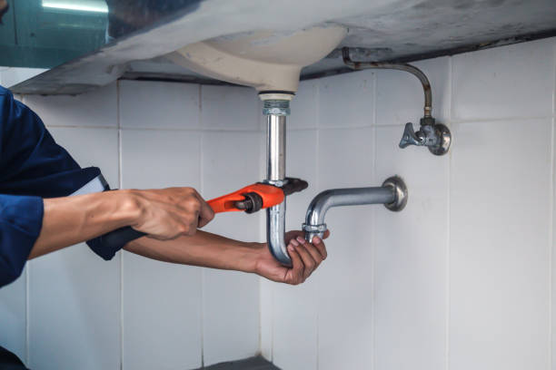 Best Toilet Repair Services  in Cass City, MI