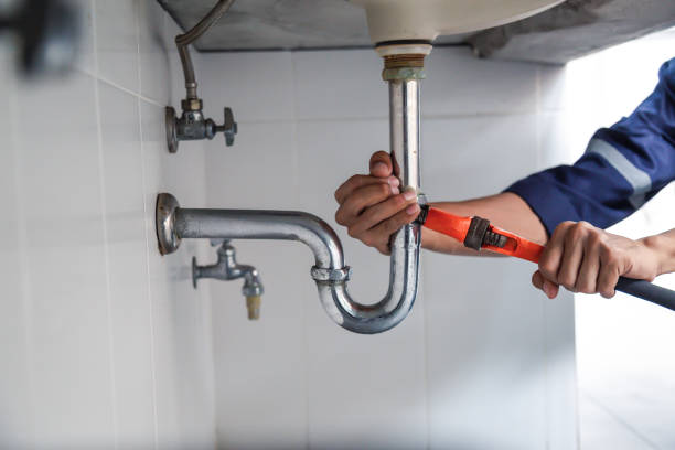 Best Commercial Plumbing Services  in Cass City, MI