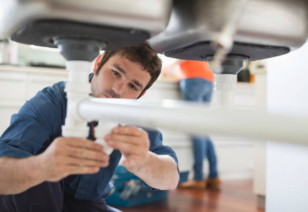 Best 24-Hour Plumber Near Me  in Cass City, MI