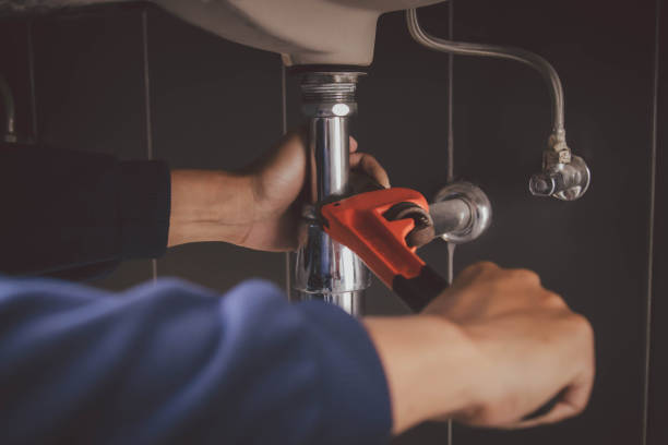 Best Affordable Plumber Near Me  in Cass City, MI