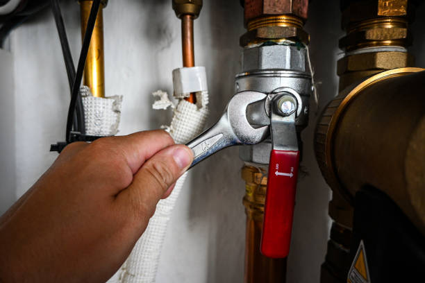 Best Plumbing Repair Near Me  in Cass City, MI